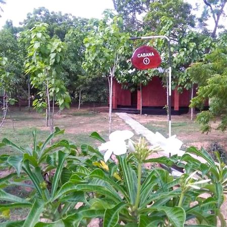 Hotel Lavish Eco Jungle Tissamaharama Zewnętrze zdjęcie