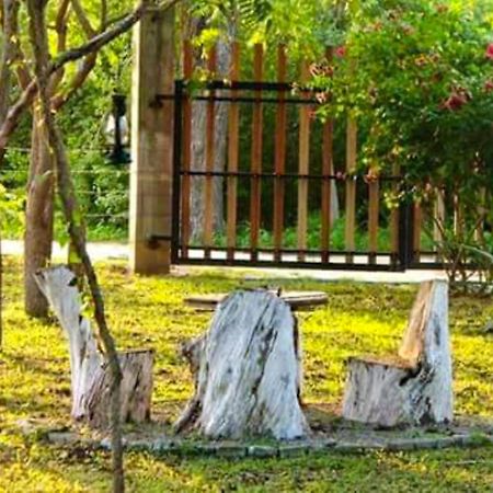 Hotel Lavish Eco Jungle Tissamaharama Zewnętrze zdjęcie