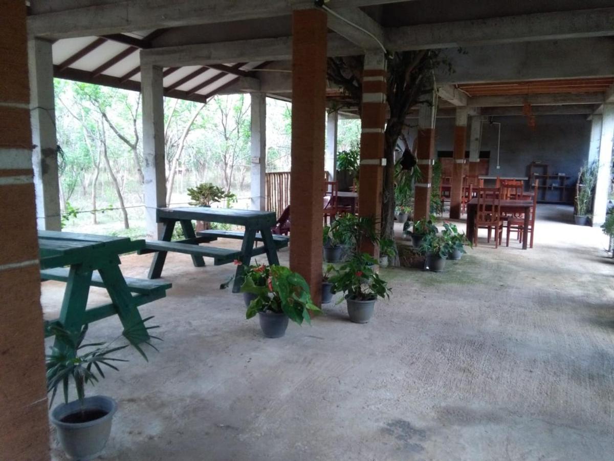 Hotel Lavish Eco Jungle Tissamaharama Zewnętrze zdjęcie