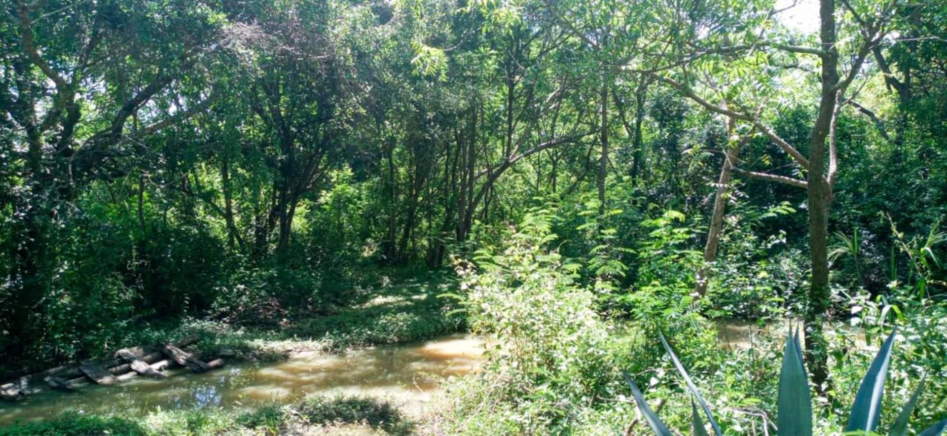 Hotel Lavish Eco Jungle Tissamaharama Zewnętrze zdjęcie