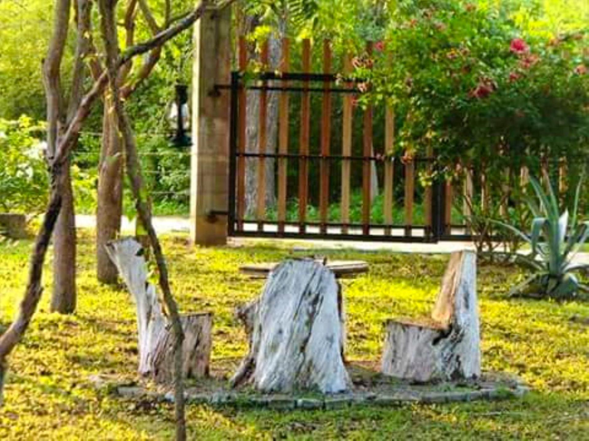 Hotel Lavish Eco Jungle Tissamaharama Zewnętrze zdjęcie