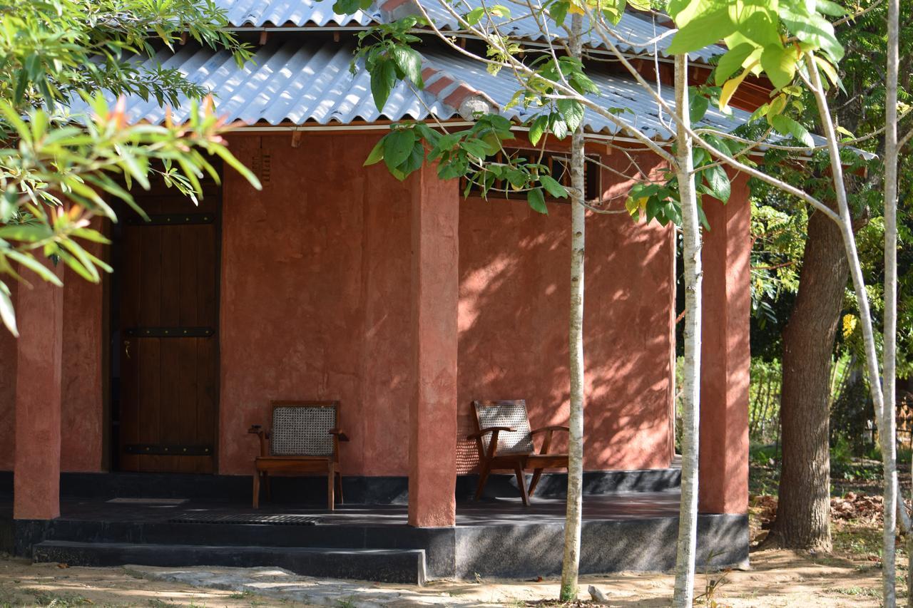 Hotel Lavish Eco Jungle Tissamaharama Zewnętrze zdjęcie