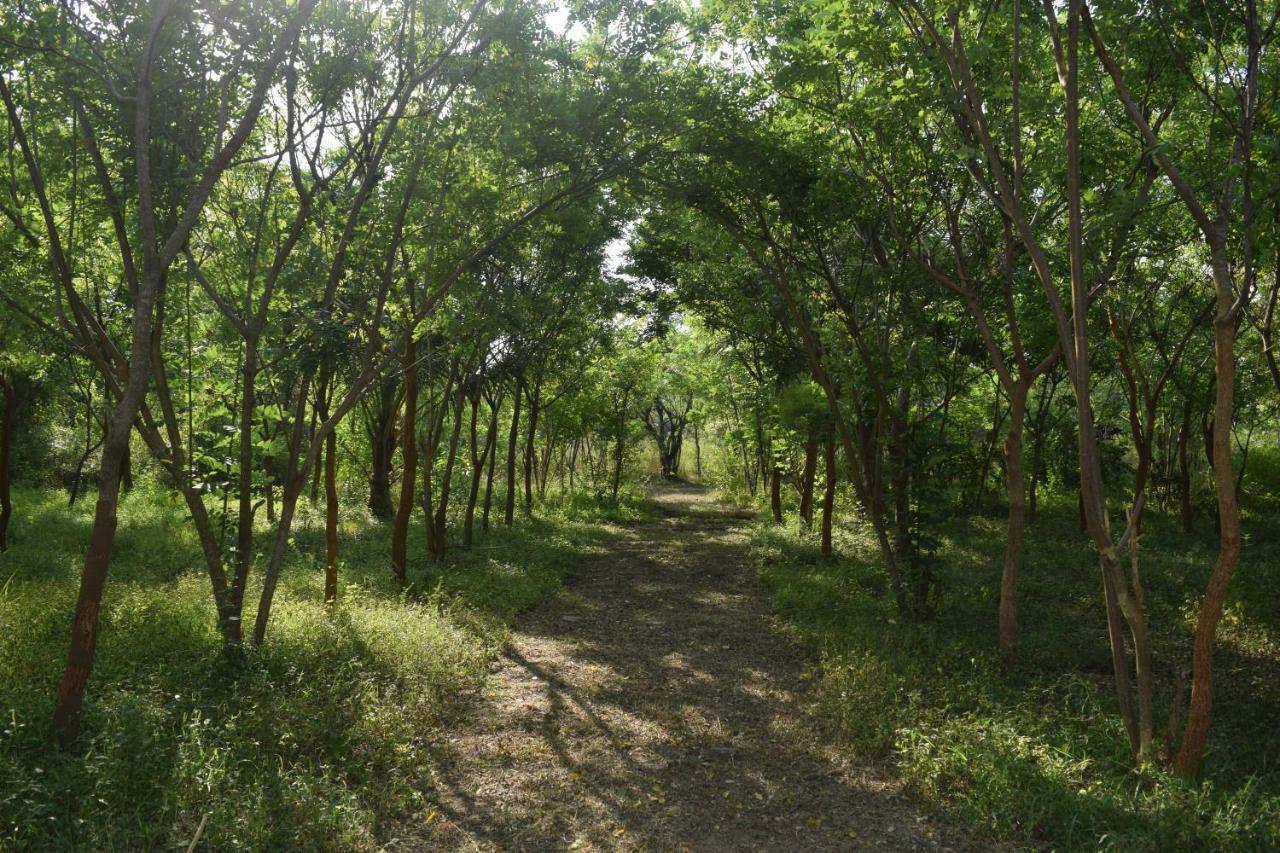 Hotel Lavish Eco Jungle Tissamaharama Zewnętrze zdjęcie